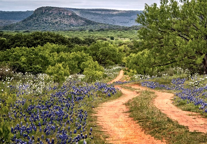 Blog - Austin Native Landscaping