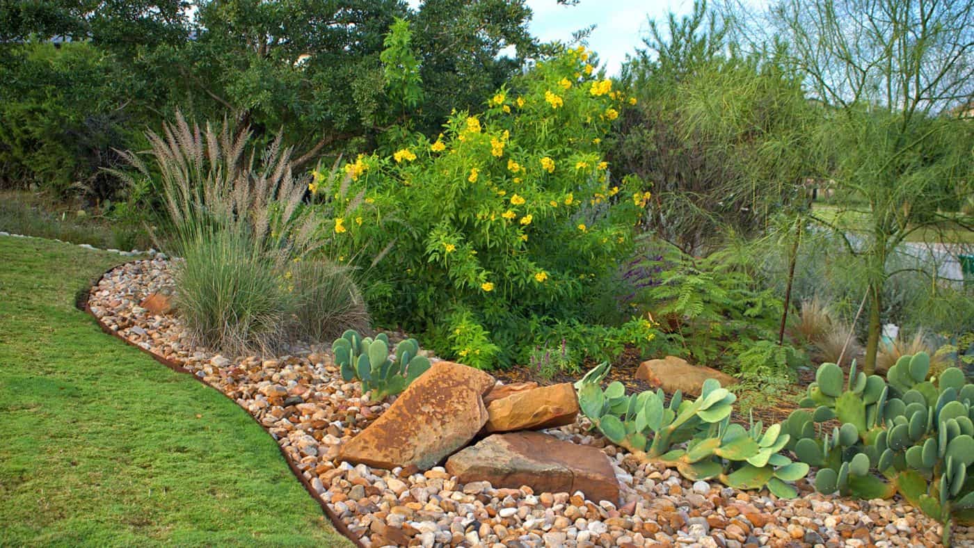 Blog - Austin Native Landscaping